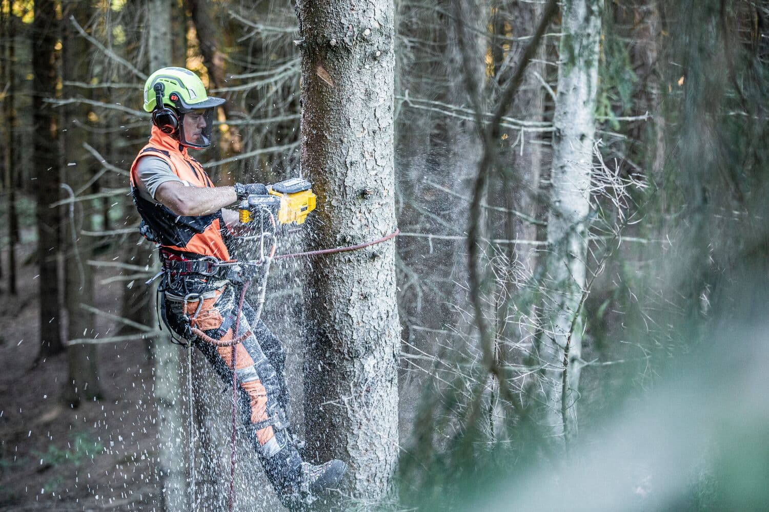 A person wearing protective gear and a helmet is cutting a tree trunk with a yellow DEWALT chainsaw in a forest. The individual is secured with climbing equipment and sawdust is visible in the air.